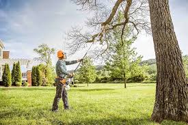 Best Tree Cabling and Bracing  in Baiting Hollow, NY