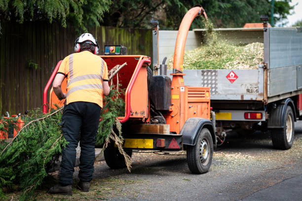 Best Lawn Grading and Leveling  in Baiting Hollow, NY